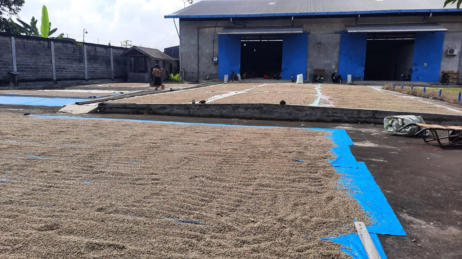 THe Medan Warehouse